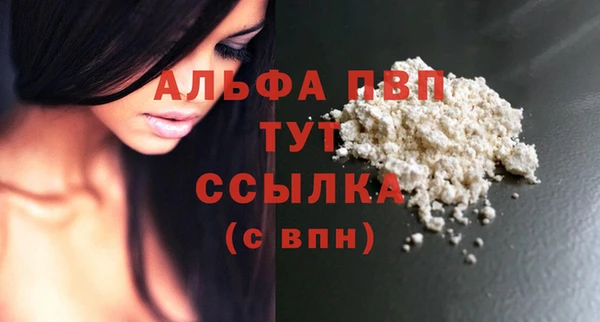 сатива Горняк