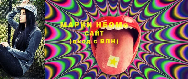 сатива Горняк