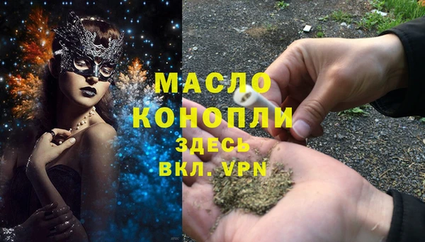 сатива Горняк